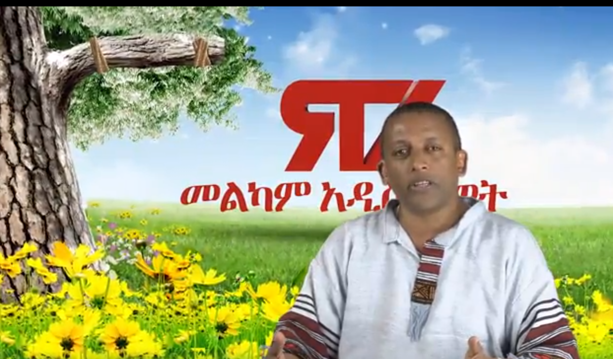 latest ethiopian news anchor media